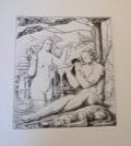 amdaphnis23