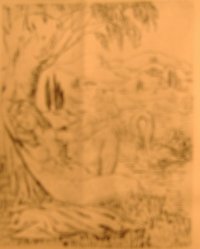 leda17