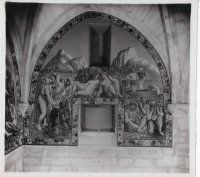 nbacchus32