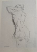 nuaddes08