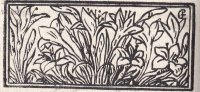 contes_p100
