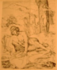 narcisse17