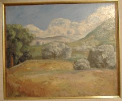 naupgolorg31